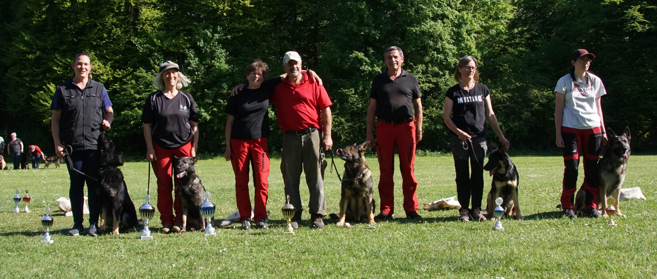 Offene Landesmeisterschaft für Rettungshunde der LG 13 Württembergbeim Schäferhundeverein OG Geislingen/ Steige