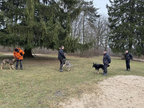 Foto 06.01.24, 11 26 26