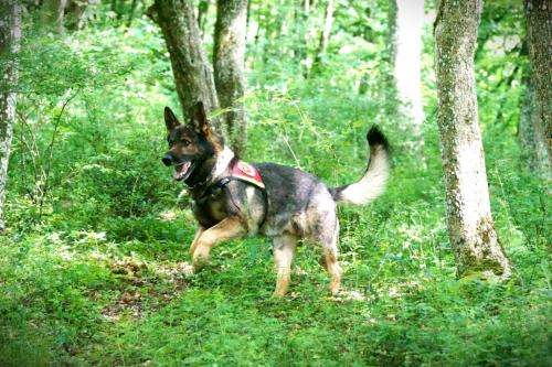 2021 Frühjahrsprüfung