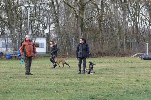 Familienhundetraining 04.02.2023