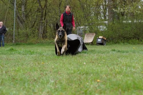 Trainingswochenende mit unseren Freunden aus der Schweiz