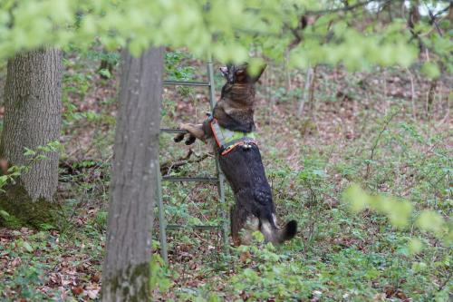 Frühjahrsprüfung 05.-07.05.2023