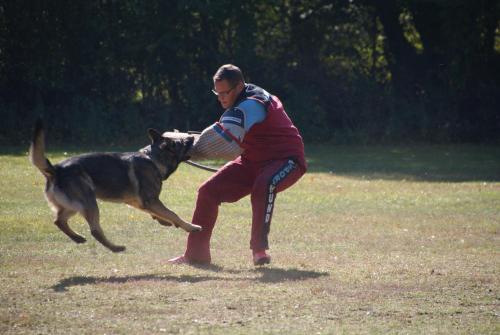 2018 44. ARGE IPO KM